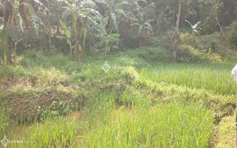 image slide